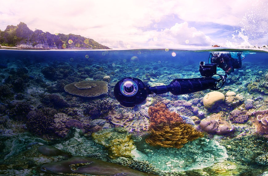 サンゴと海、人類の危機に迫るドキュメンタリー「チェイシング・コーラル」