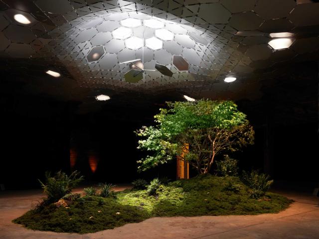 The Lowline in New York City