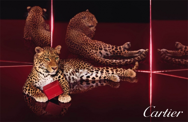 Cartierの宣材写真